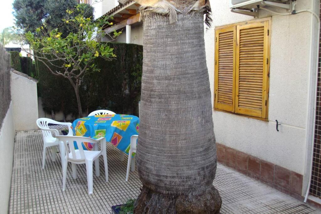 شقة La Casa De La Palmera تورّيفيِخا المظهر الخارجي الصورة