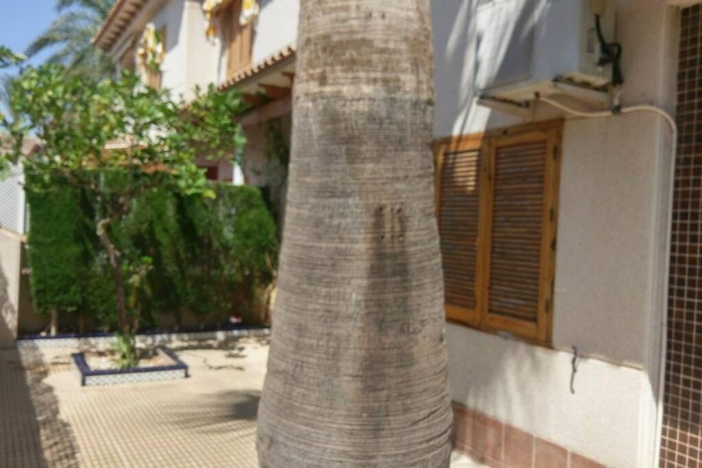 شقة La Casa De La Palmera تورّيفيِخا المظهر الخارجي الصورة