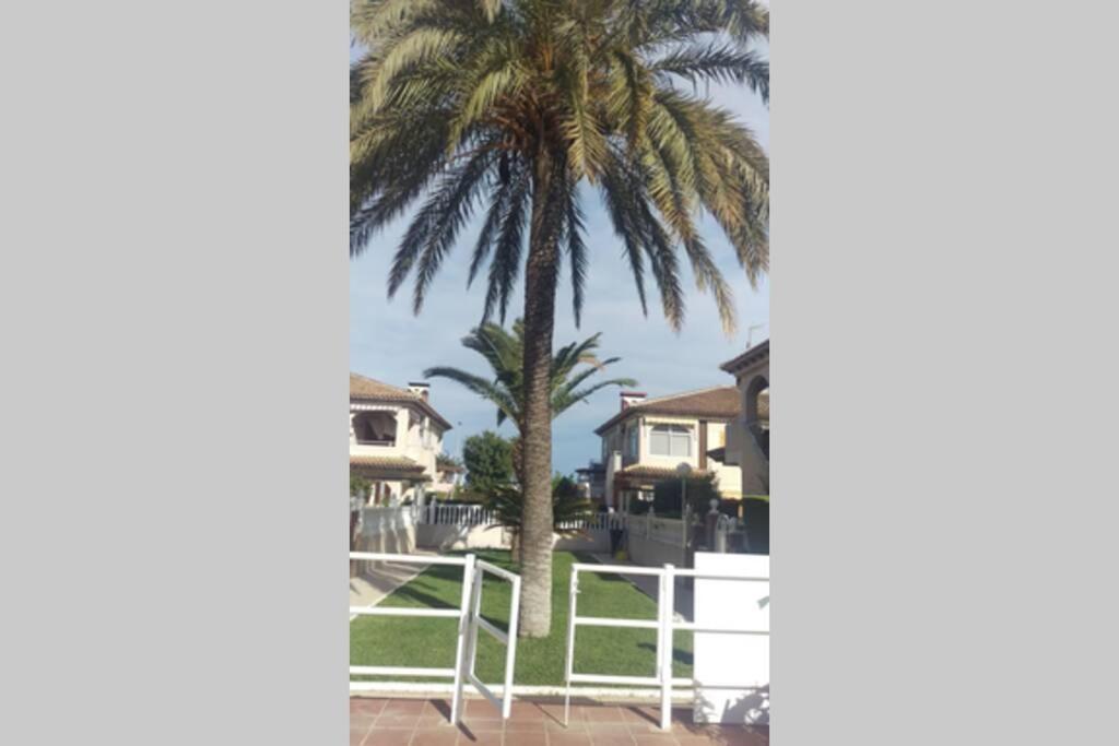 شقة La Casa De La Palmera تورّيفيِخا المظهر الخارجي الصورة